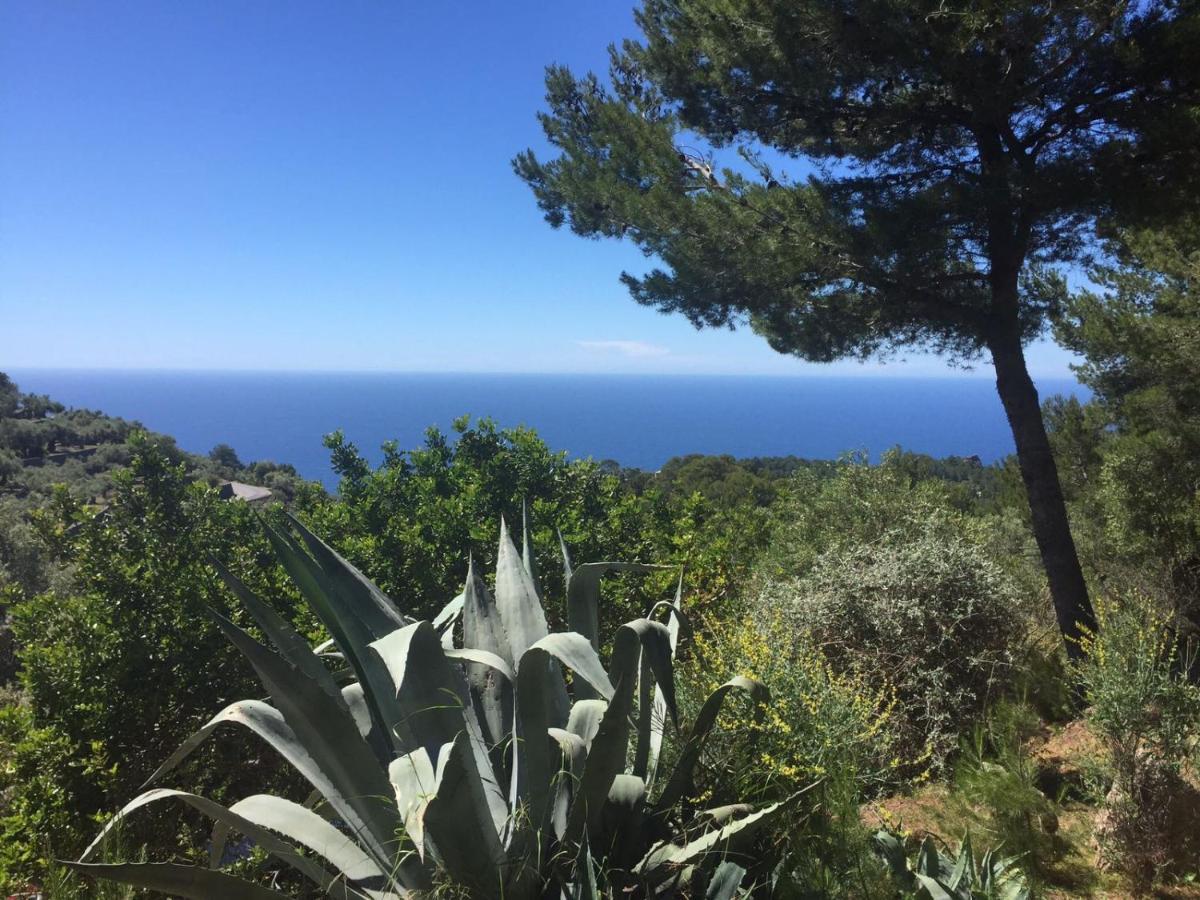 Hôtel Son Bleda à Sóller Extérieur photo